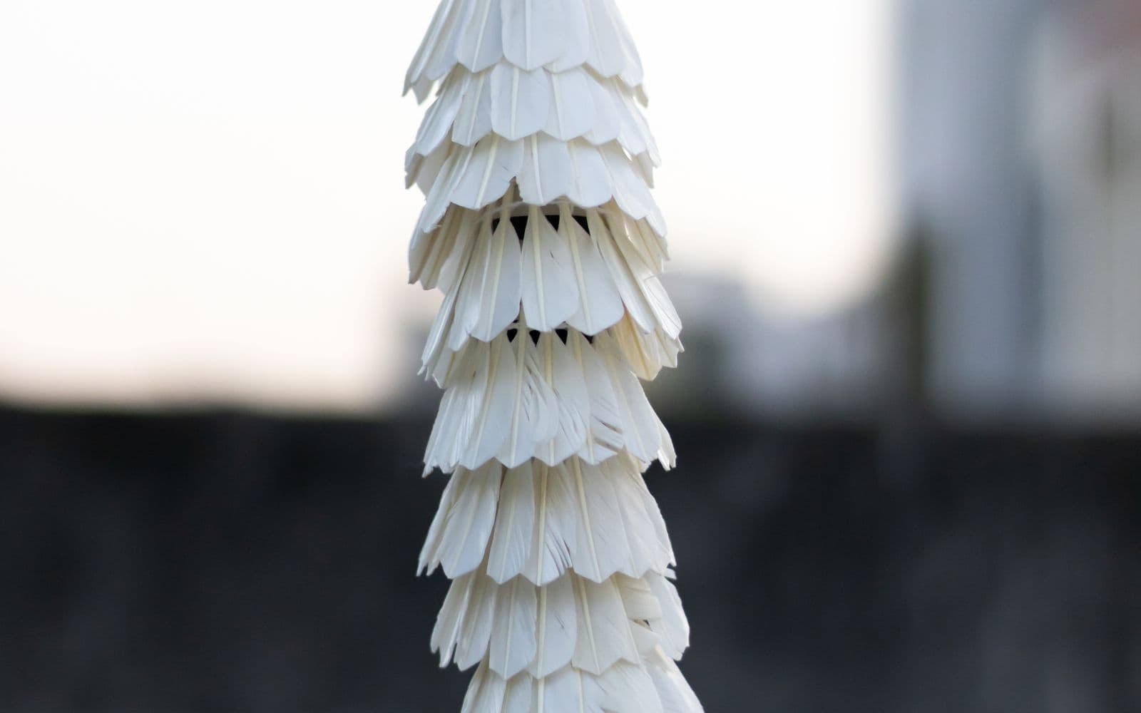 A hand holding a stack of feather shuttlecocks against a blurred indoor court background