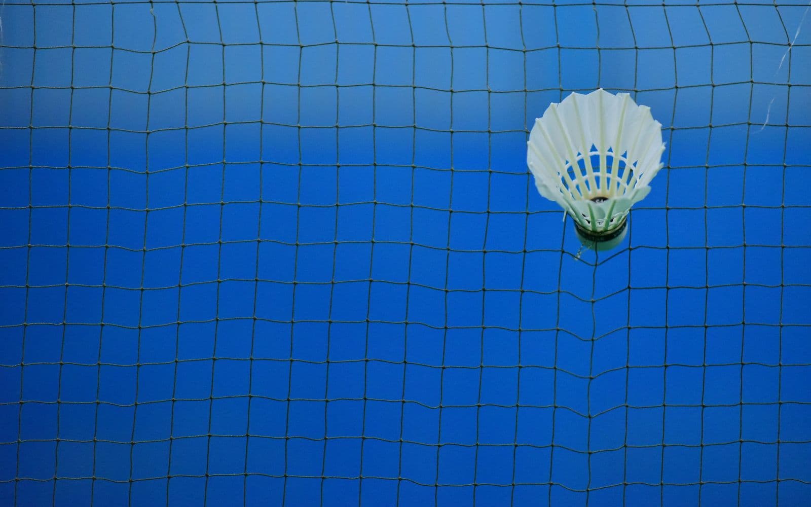 A shuttlecock caught in a badminton net on a blue indoor court