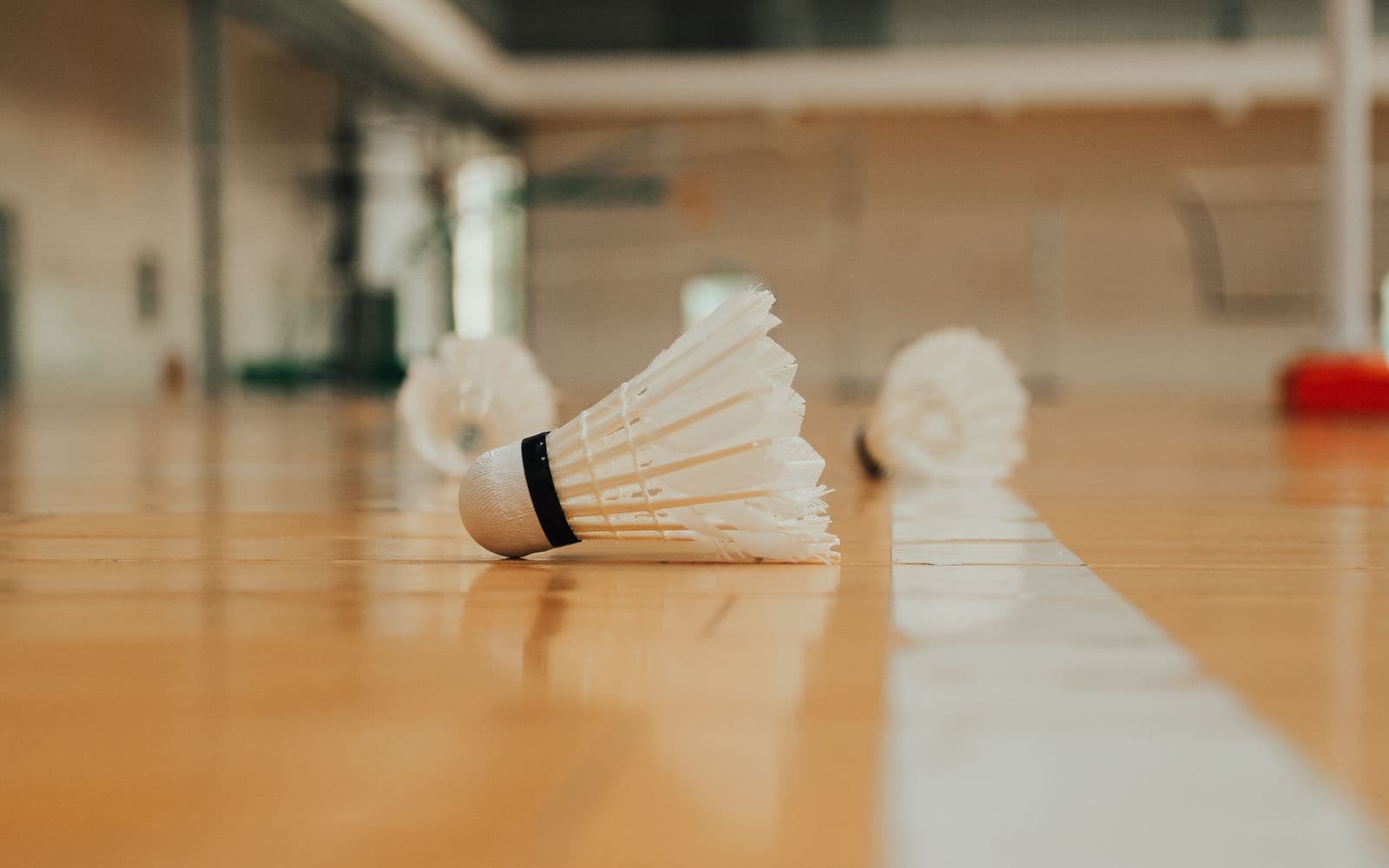 Several shuttlecocks resting on a glossy wooden sports-hall floor with a painted court line